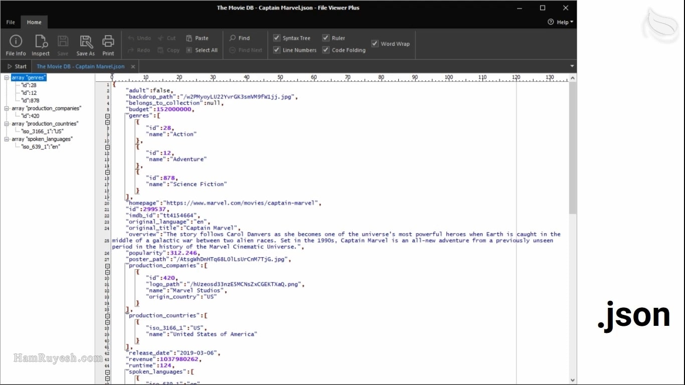 آشنایی با JSON و کاربرد آن | هم رویش
