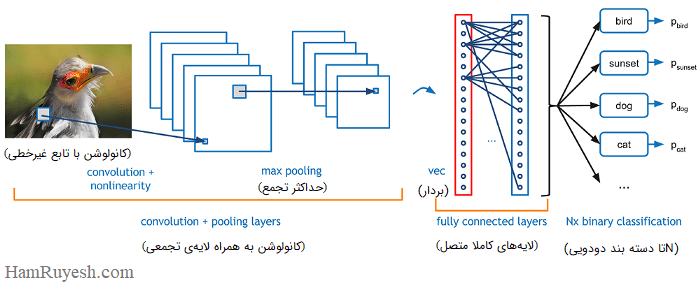 شبکه-عصبی-مصنوعی-هم-رویش