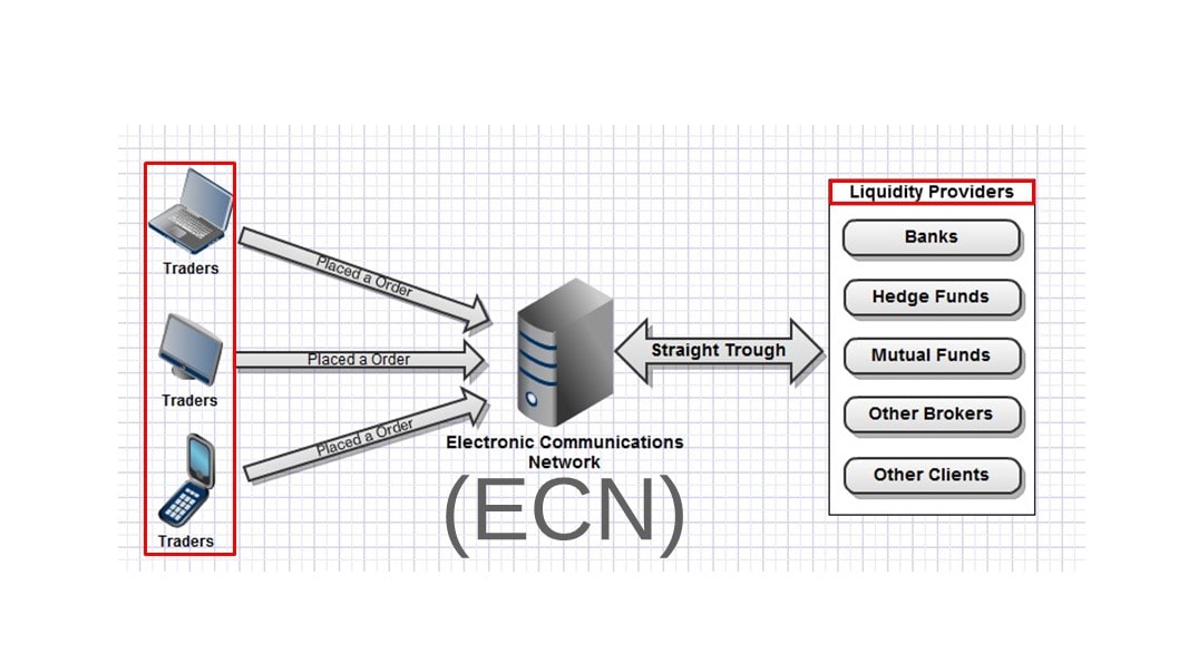 ECN-چیست-هم-رویش