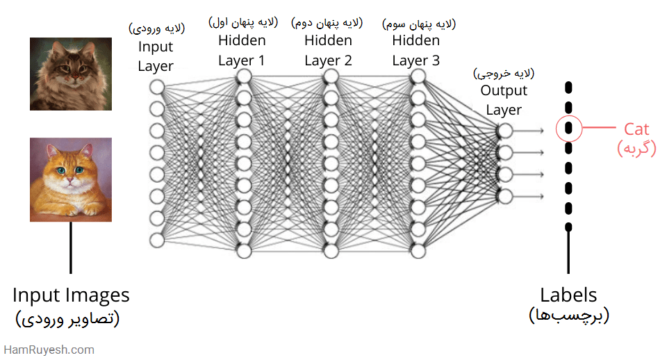 دیپ لرنینگ چیست؟ --- کاربرد یادگیری عمیق (Deep learning) | هم رویش