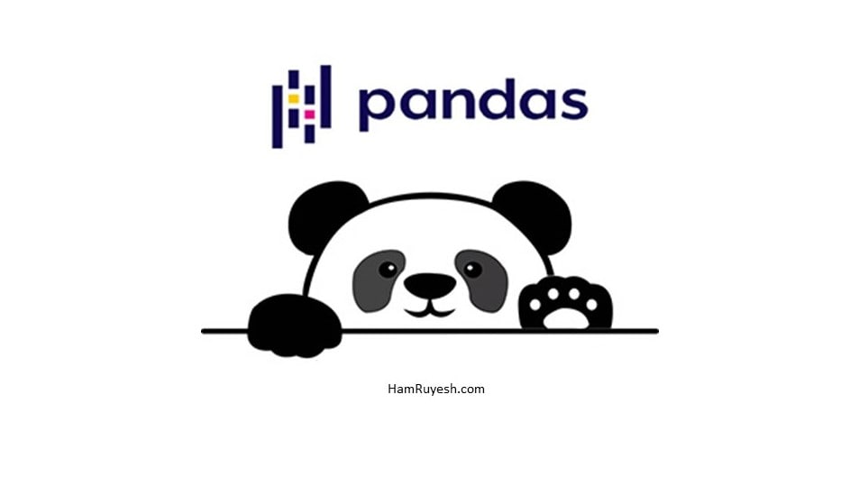 pandas-چیست-کتابخانه-pandas-چیست-پانداس-چیست-pandas-چه-کاربردی-دارد-ویژگی-های-pandas-هم-رویش