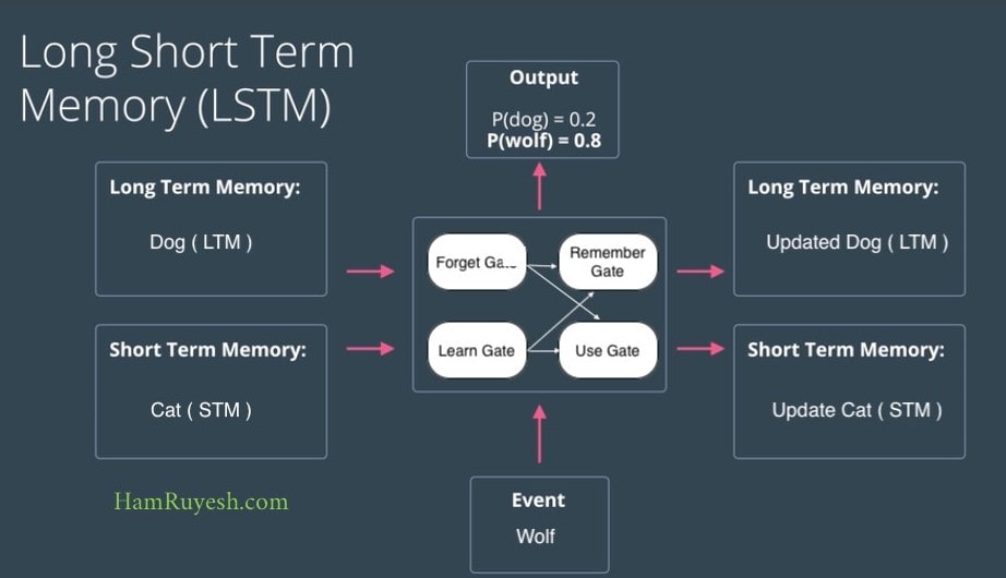 معماری-شبکه-عصبی-حافظه-طولانی-کوتاه-مدت-lstm-چیست-چگونه-کار-می‌کند-هم-رویش